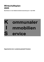 Wirtschaftsplan 2025